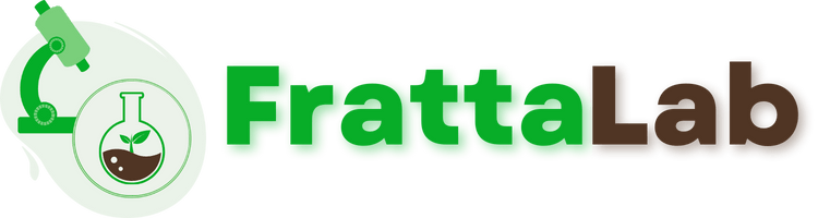 frattalab solo logo piccolo