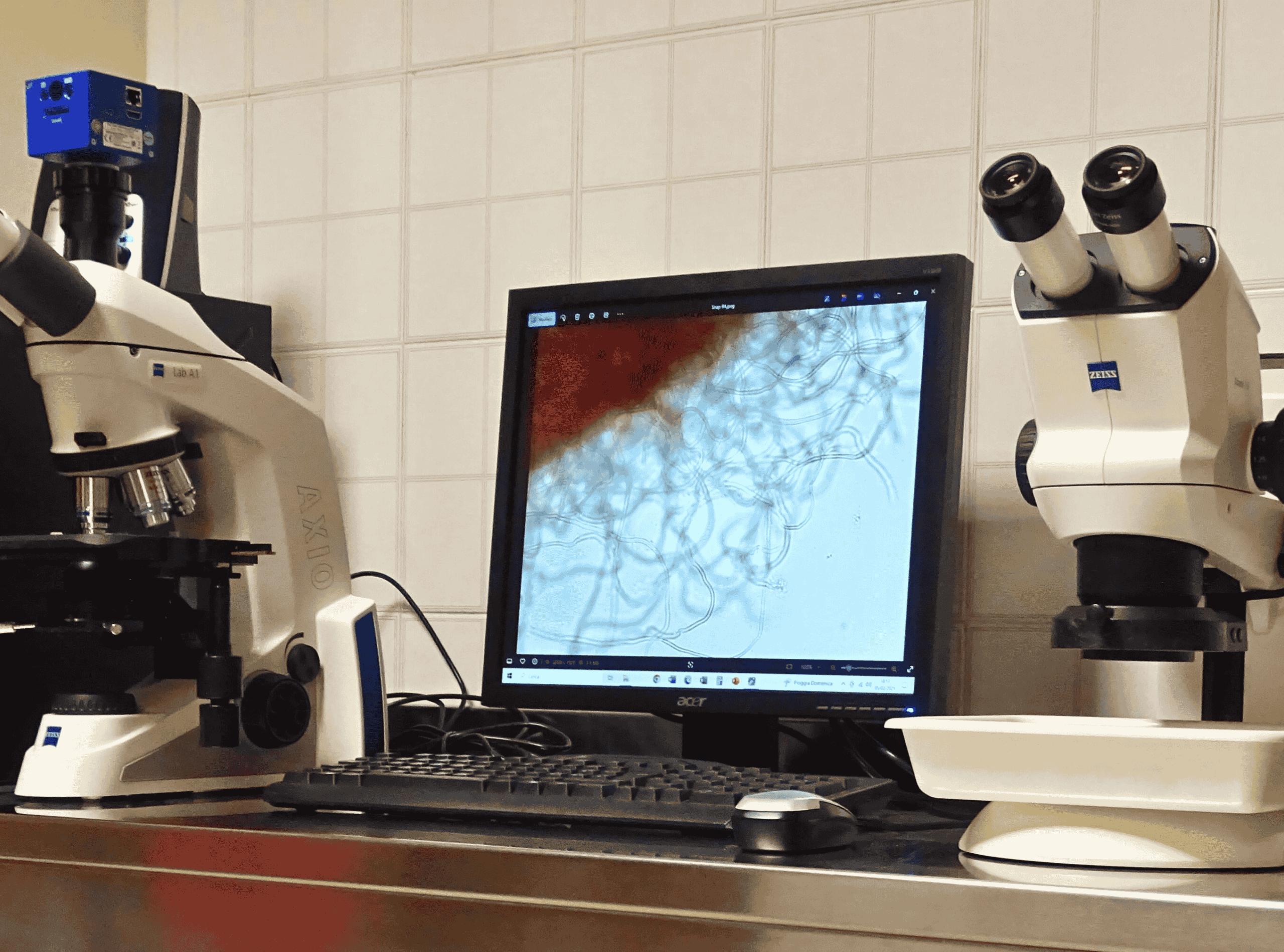 microscopi